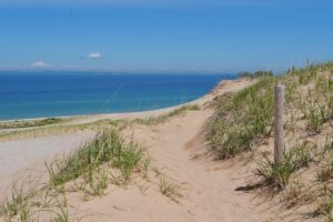 Read more about the article Hiking trails at Sleeping Bear Point – Michigan